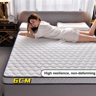 6/10cm Latex Mattress Single/Double/Queen/King Thickened Foldable Latex Foam Bed Memory Mattress Thick Mattress Latex Tilam Topper