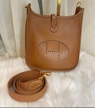 Hermes Mini Evelyne