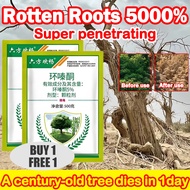 Effective weed control Removing big trees kuat Red magic Racun rumput mati akar Kill tree环嗪酮 大树药专用药竹