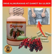 ☞✿Bignay Herbal Capsules - Pang gamot sa Almuranas at maiwasan - Iwas Ulser at pang gamot - 100pcs T