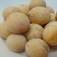 Buah Duku Komering Pontianak //1kg// murah harga grosir