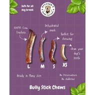 Bully stick - Ottyver Bark Factory - teething snack - dehydrated snack