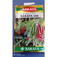 Biji Benih Cili Sakata 508 Hybrid F1 5gm