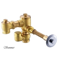 Conceal Toilet Flush Valve for Squat Pan Brass Concealed Flush Valve for Jail or Prison
