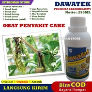 OBAT PENYAKIT CABE AMPUH DAWATEK 250ML Fungisida Organik Hayati Obat Busuk Buah Akar dan Batang Berc