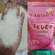 BLOOMING SAKURA BEAUTIFUL SPRING RICE 5KG