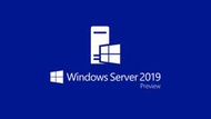 微軟 Windows Server 2019 中文標準隨機版 5 Clt Device CAL