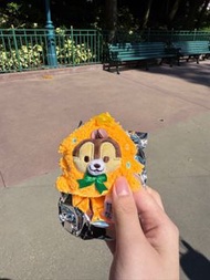 （賣/換唐老鴨）迪士尼chip奇奇聖誕扭蛋 連蛋殼銀色袋