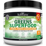 Super Greens Powder Superfood - Greens Powder with Probiotics Prebiotics Digestive Enzymes and 43 Green Superfoods - Chlorophyll Bilberry Chlorella Spirulina Grass Drink mix