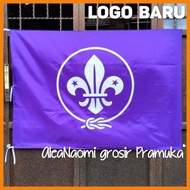 NEW LOGO WOSM Flag BIG World Scout Flag BIG World Scout Flag LARGE Wosm Flag