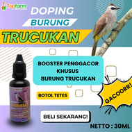 Vitamin Dan Doping Burung Trucukan / Vitamin Booster Burung Trucukan / Booster Burung Trucukan / Boo