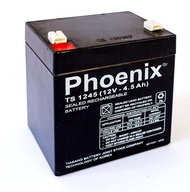 [HCM]Ắc quy 12V - 4.5A Phoenix