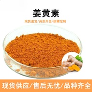 Turmeric Extract Powder 10% Curcumin Food Grade Raw Material for Supplements In Stock
