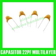 Multilayer Monolithic Ceramic Capacitor 22pF 100V 220 Capacitor