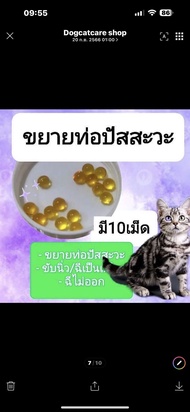 ￼Methovet เมทโทเวท อาหารเสริมลดการเกิด-สลายนิ่ว Struvite ในแมวและสุนัข