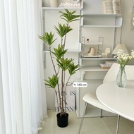 [พร้อมส่ง] Jnihouse : ต้นไม้ประดิษฐ์ Lily Bamboo (Tree)