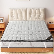 Mattress New Product Back Support Mattress Spine Coconut Palm Children's Natural Firm Mattress Extra