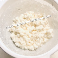 Milk kefir grains 奶克菲爾菌種 奶克菲爾BB