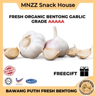 [MNZZ] 100% ORGANIC Fresh Garlic Onion (India) Vegetables Bawang Putih Merah Tunggal Organik Sayur S