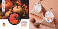 Shachihata WATASHI NO IRO Mixed Colours Stamp Pad (53.5mm) - 100th years Special Celebration | DIY C