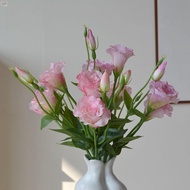MXBEAUTY Artificial Lisianthus Flowers, Real Touch Lifelike Fake Eustoma Flower, Photography Props P