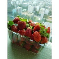 50 1Kg fruit boxes, P1000B transparent plastic box, 1Kg fruit box