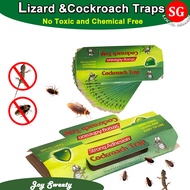 🇸🇬【SG stock】10pcs Roach Trap Lizard Traps Stickers Roach Bait roaches Repellent Roaches Killer Glue sticky Trap Lizard killer, Roach Traps Killer, roach trap for car