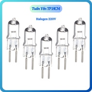 Combo of 5 Halogen bulbs 220V 35W - 50W used for essential oil diffusers