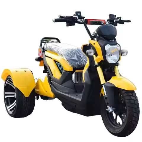 Low Price 3 Wheel Electric Tricycle Adult 1000w 1500W Open Body Tricycle for Old People
