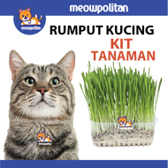 Rumput untuk kucing - cat grass ( biji benih ) Cat Wheat Grass Pet Grass