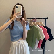 Women's Short Sleeve Knitted Top/Imported Women's Casual Top (A288)/Korean style Plain Top