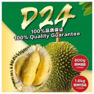 Fresh D24 Durian Flesh / Pulp | 新鲜D24 榴莲果肉 (800g-1.6kg)