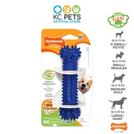 NylaboneFlexi Chew Gumabone Textured Dental Bone Dog Chew Toy Petite/Regular/Wolf Up To 35lbs/16kg (