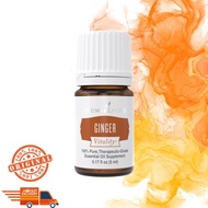 Young Livings YL Ginger Flavoring 5ml
