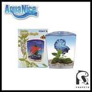 Betta House / Betta Aquarium Tank (Single)