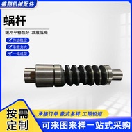 Snail Archimid Snail Stainless Steel Small Mold Number Snail Reducer Turbo Snail Stainless Steel Sna