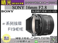 ☆晴光★福利品 SONY 16mm F2.8 FISHEYE 16/2.8 魚眼鏡頭 A接環 A-mount 索尼公司貨