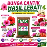 Baja bunga sayur berbuah NPK 12-12-17 🌸