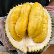 Durian Fresh Musang King - Utuh Bulat