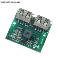 [SprW] 9V 12V 24V to 5V DC-DC Step Down Charger Power Module Dual USB Output Board Boutique