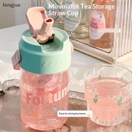 fengjue 600/800ml Large Capacity Sports Water Bottle With Hidden Straw Portable Sealed Leak-Proof Pl