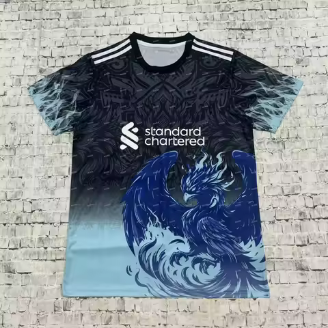 2025 New Football Sweatshirt Warm Up Training T-shirt Men's Liverpool Special Edition