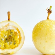 (M Size) Passion Fruit Panama Golden 100%Sweet Fruit Buah Markisa Kuning Pamana type 新鲜百香果 1kg=13pcs