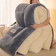 Mùa Đông Ấm Áp Nhung Bông Tuyết Dày 10kg Nhung Lông Cừu Hai Mặt Nhung Sữa Không Rụng Bông Lụa Cotton