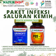 obat herbal mengobati isk infeksi inveksi saluran kandung kemih kencing bawah ginjal atas uretra dis