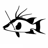 ❣Spear fishing decal wetsuit neoprene pneumatic speargun freediving fish decal ◁♡*SSJ