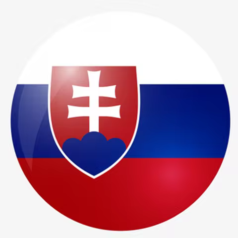 New 8 lines Oscams CC Clines Europe Slovakia 4k flag 12cm*6cm Outdoor flags