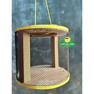 Cricket cage cricket container cricket house