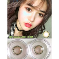 【ready stock】2pcs  colour Contact lens Yearly use olive green   degrees0.00-8.00  14.2mm  Eye makeup