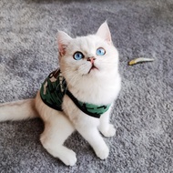 ☊┇™Cat clothes thin anti-hair fall kitten puppet kitten cat British short blue cat pet cat clothes summer vest